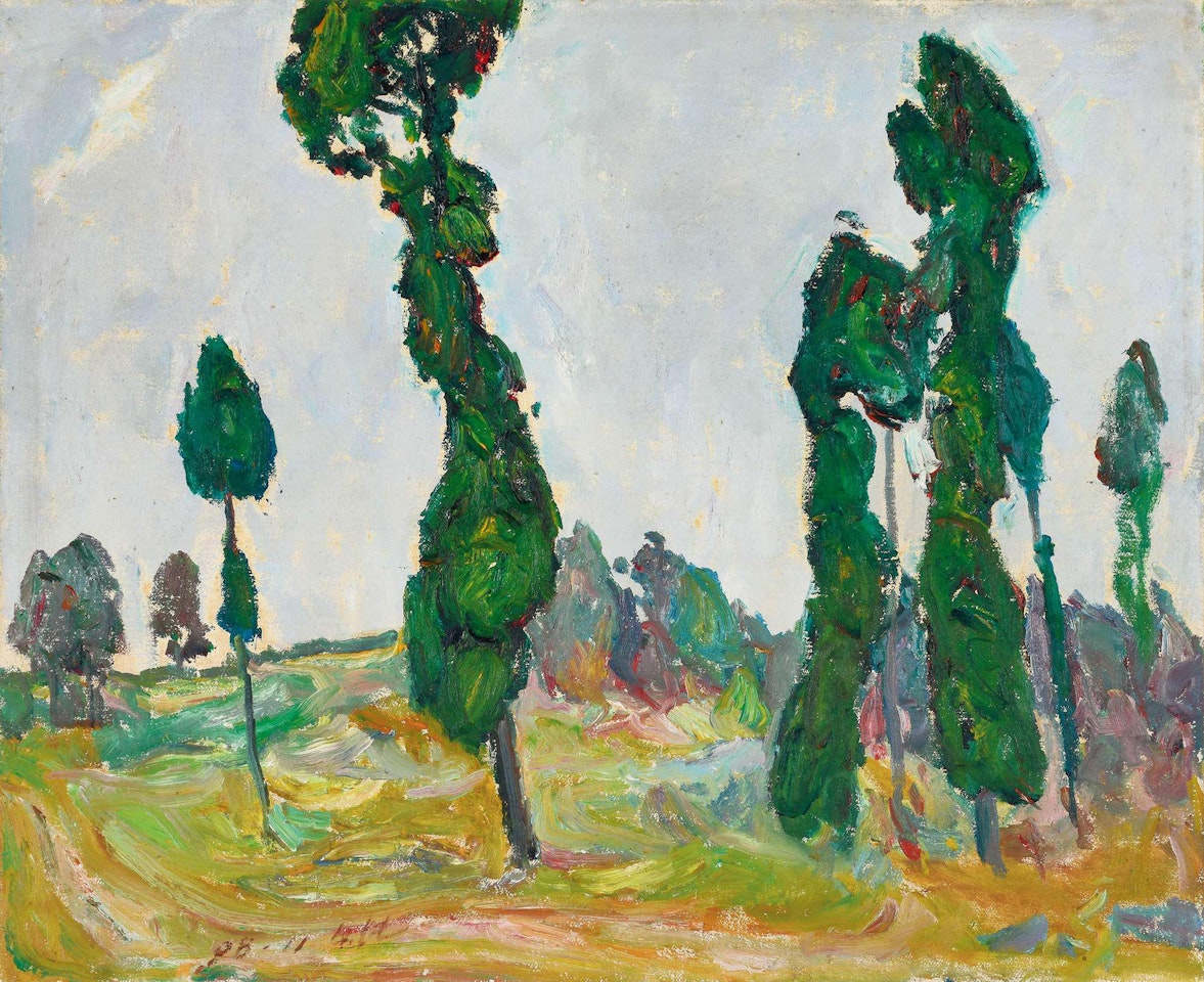 CYPRESS by Luo Erchun