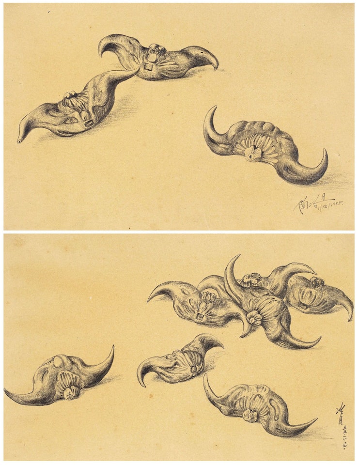 TWO SKETCHES OF WATER CHESTNUTS (A SET OF TWO) by Lengyue Tao