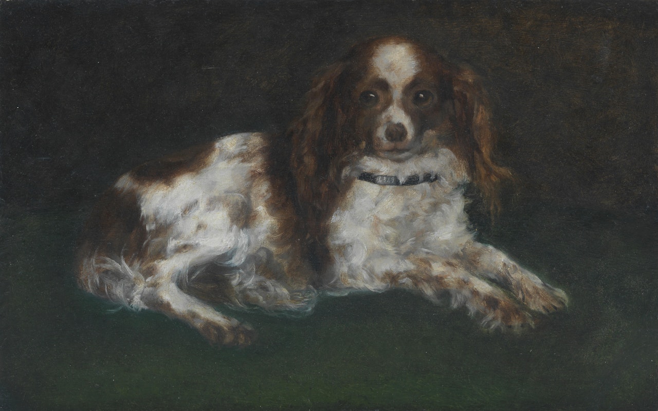 A seated King Charles Spaniel by English School