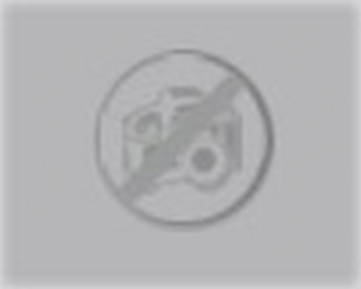 "Drawings" by Henri Matisse