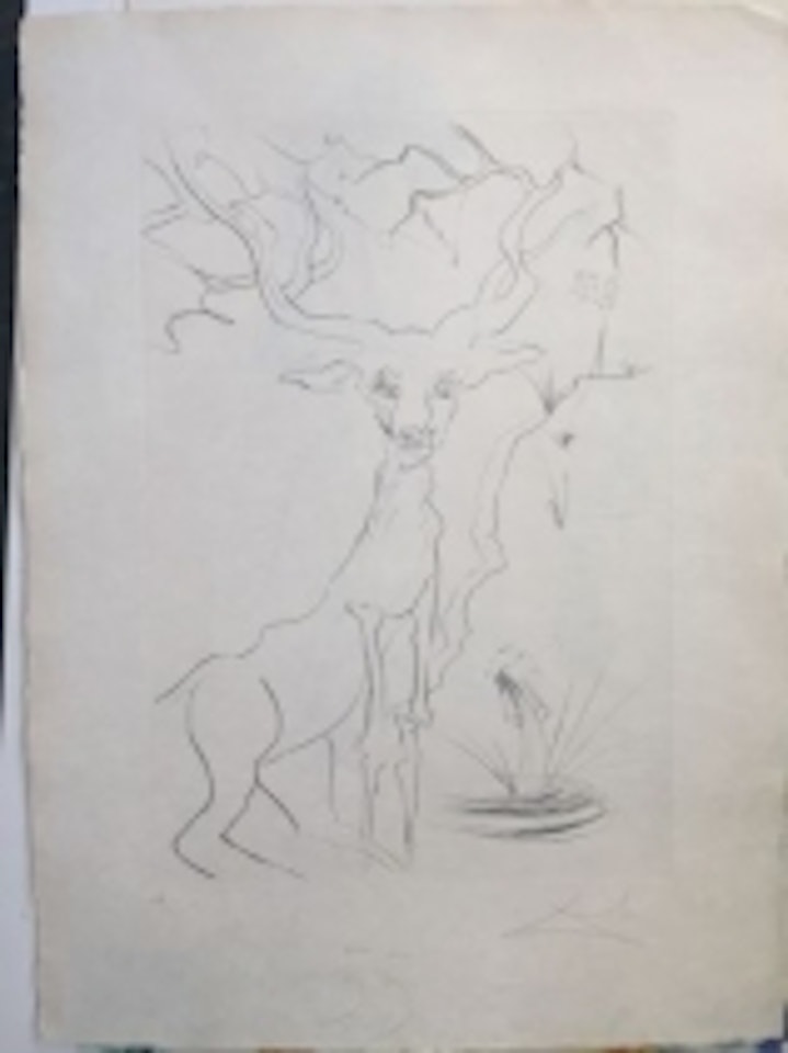 "Deer reflected in water (the bestiary of La Fontaine dalinized)" by Salvador Dali