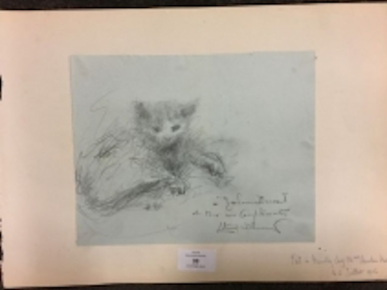 The cat by Lucien Lévy-Dhurmer