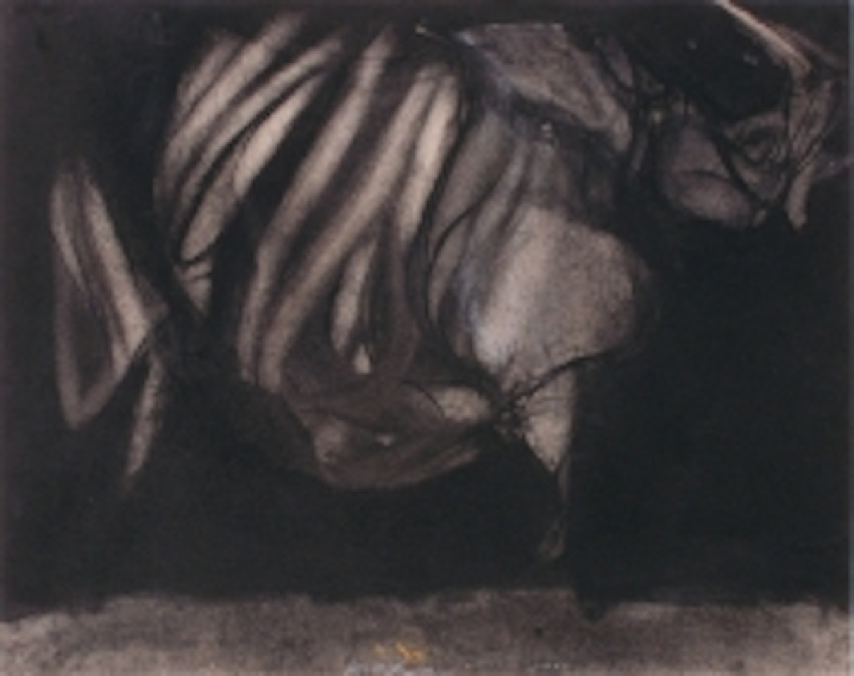 "Rhinoceros in Africa" by Sam Szafran