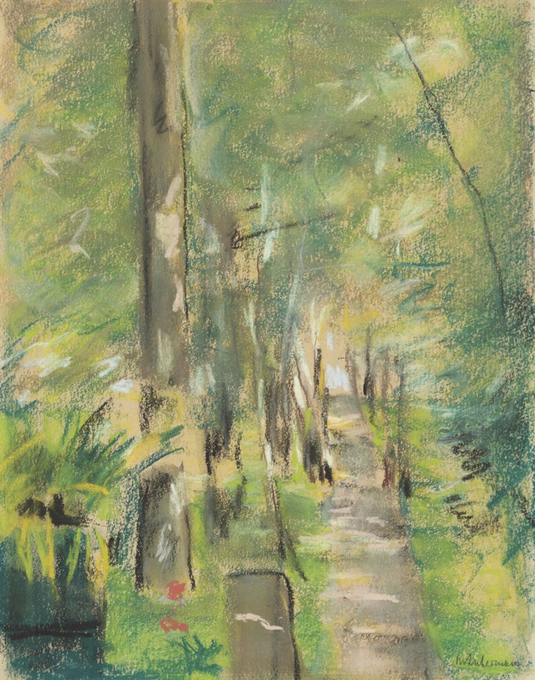 Birkenallee im Wannseegarten by Max Liebermann