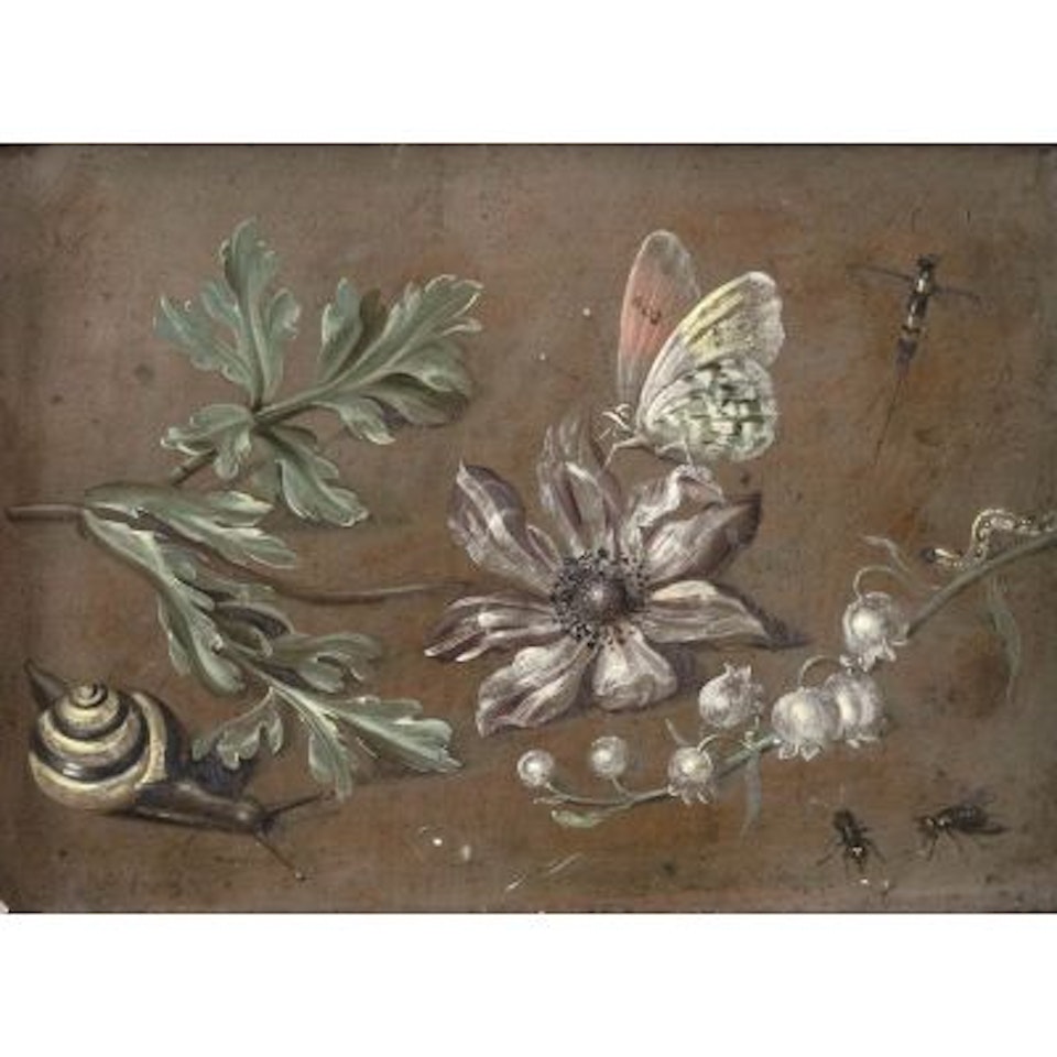 Butterfly, snail, dragonfly, ants and worm with May flowers and blossoming branch by Jan Van Kessel The Elder