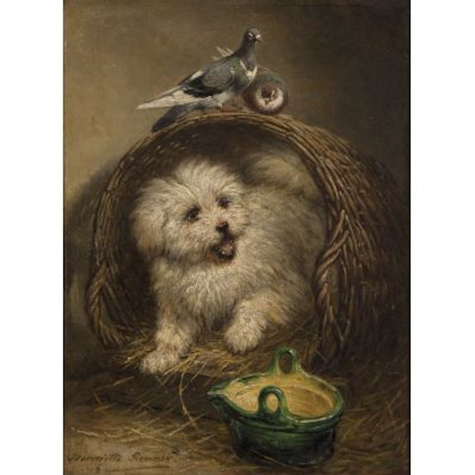 Dog in wicker basket near a couple of pigeons and earthenware bowl by Henriette Ronner-Knip