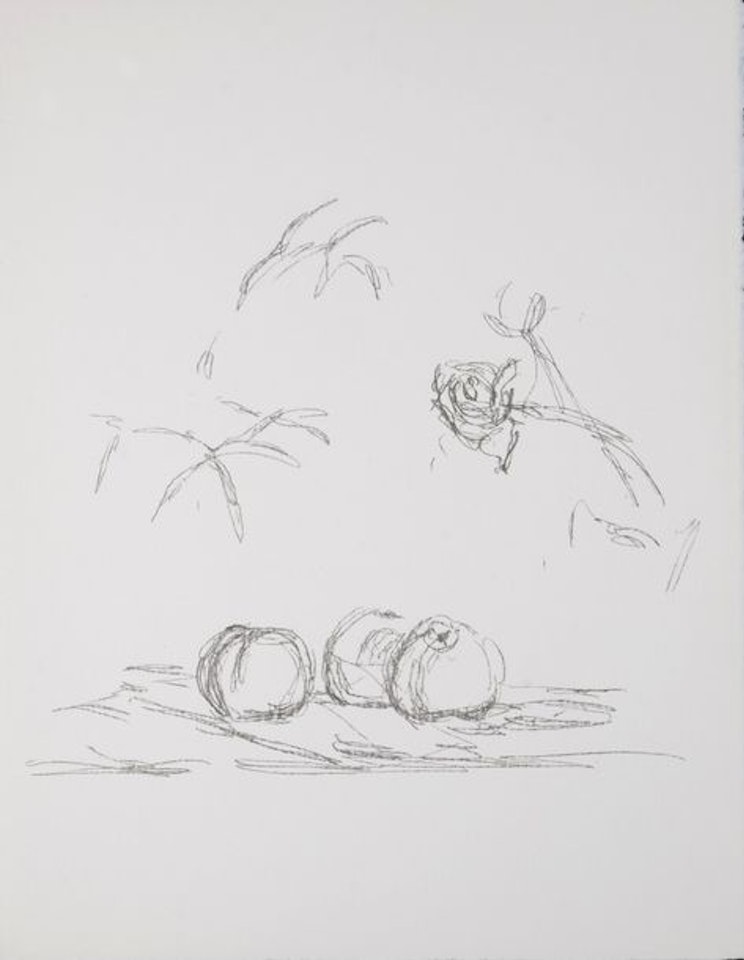 Flowers by Alberto Giacometti