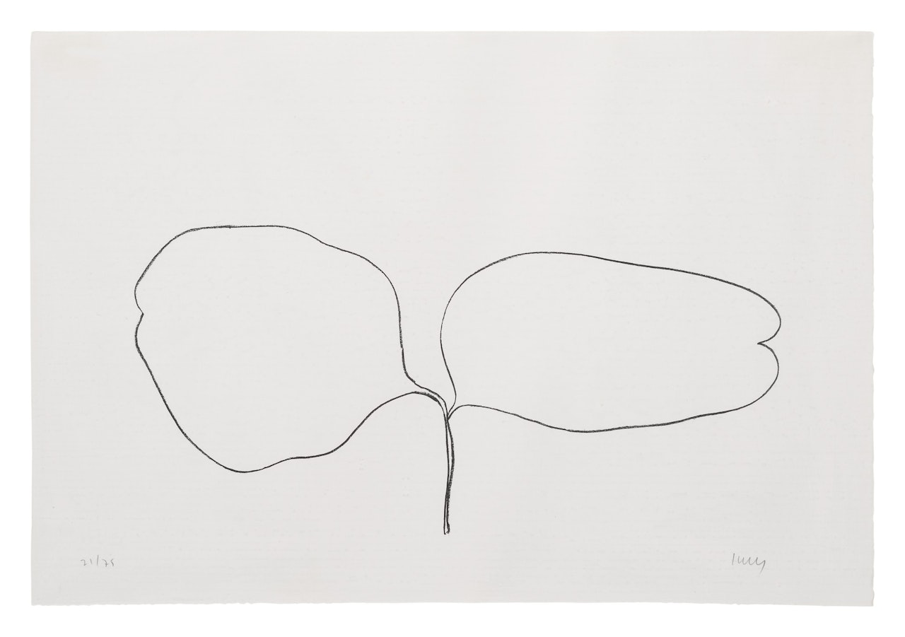 LOCUST (ACACIA) (AXSOM 52) by Ellsworth Kelly