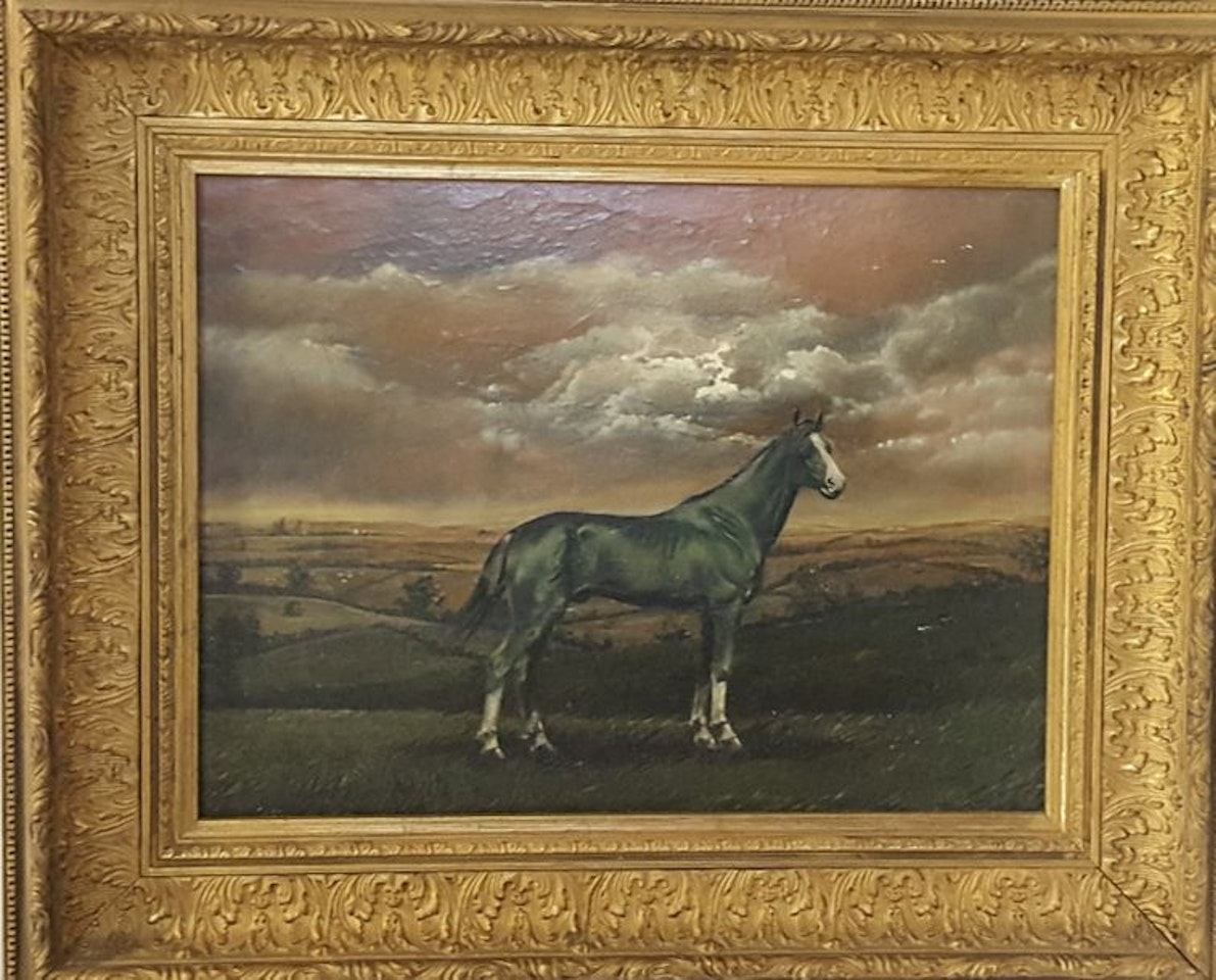 Horse in a landscape by English School