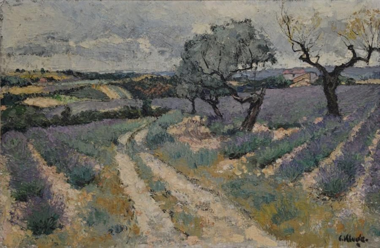 Lavender fields by Constantin Kluge