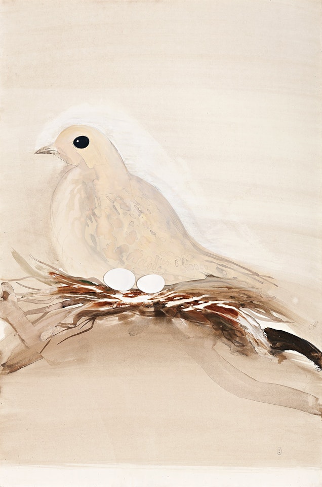 THE PINK DOVE I by Brett Whiteley