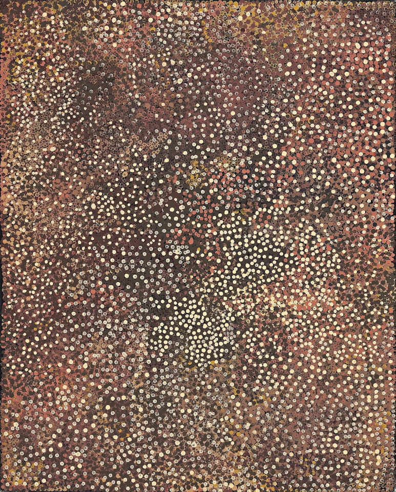 UNTITLED (DRIED FLOWERS AND FRUITS) by Emily Kame Kngwarreye