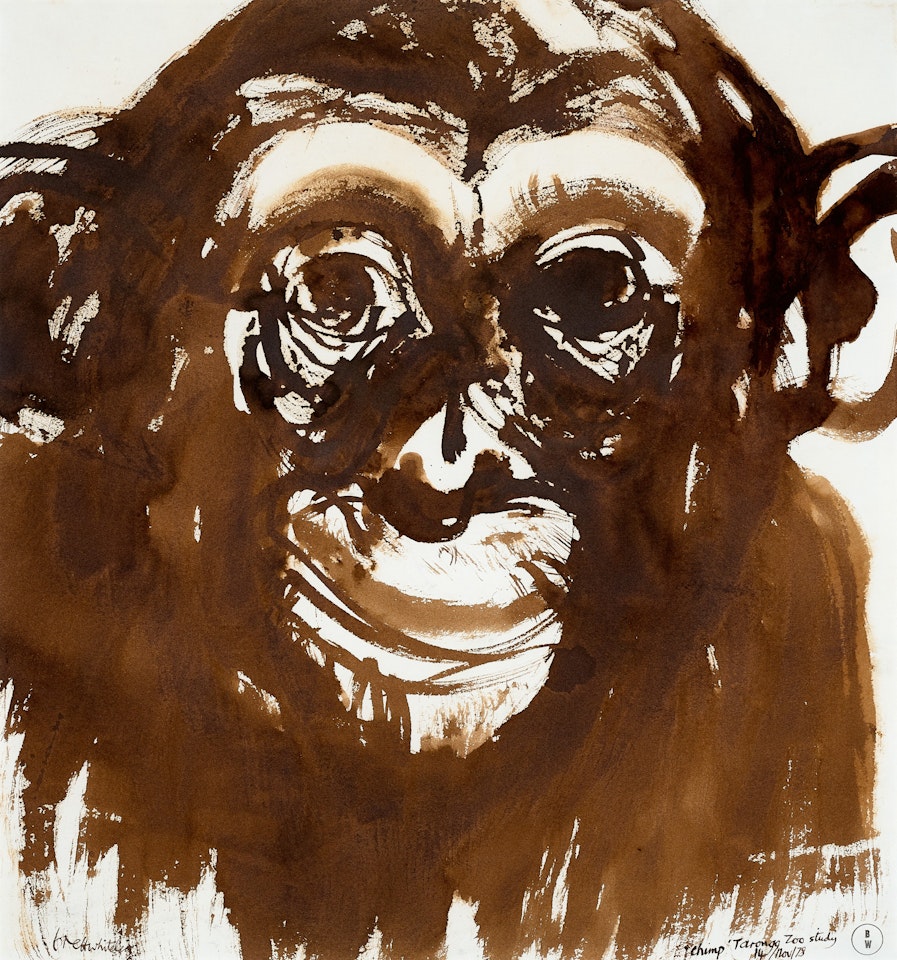CHIMP TARONGA ZOO STUDY, VERSO: UNTITLED (FIG TREE) by Brett Whiteley