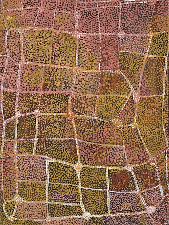 YAM STORY by Emily Kame Kngwarreye