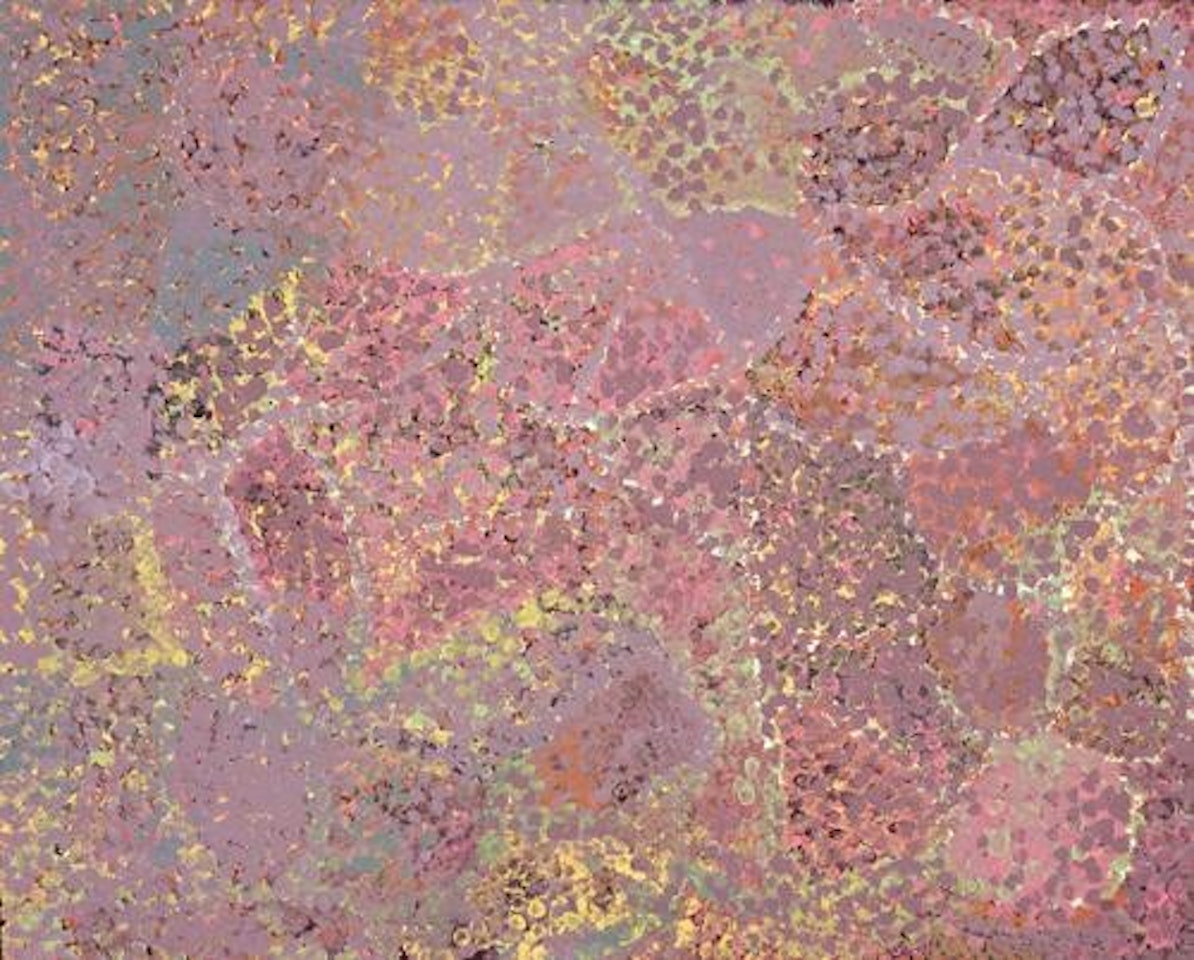 ANOORALYA by Emily Kame Kngwarreye