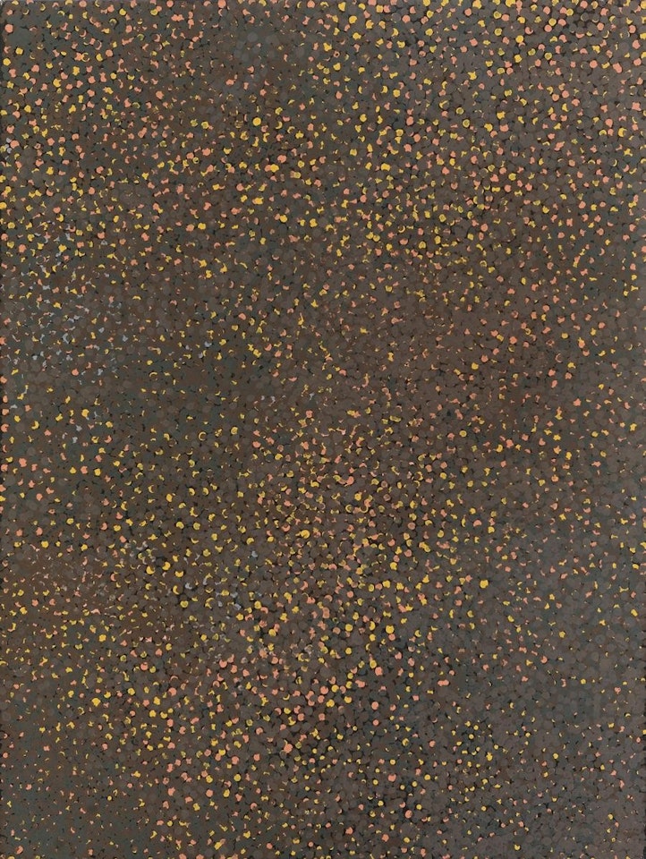 MUNA NDORKWA by Emily Kame Kngwarreye