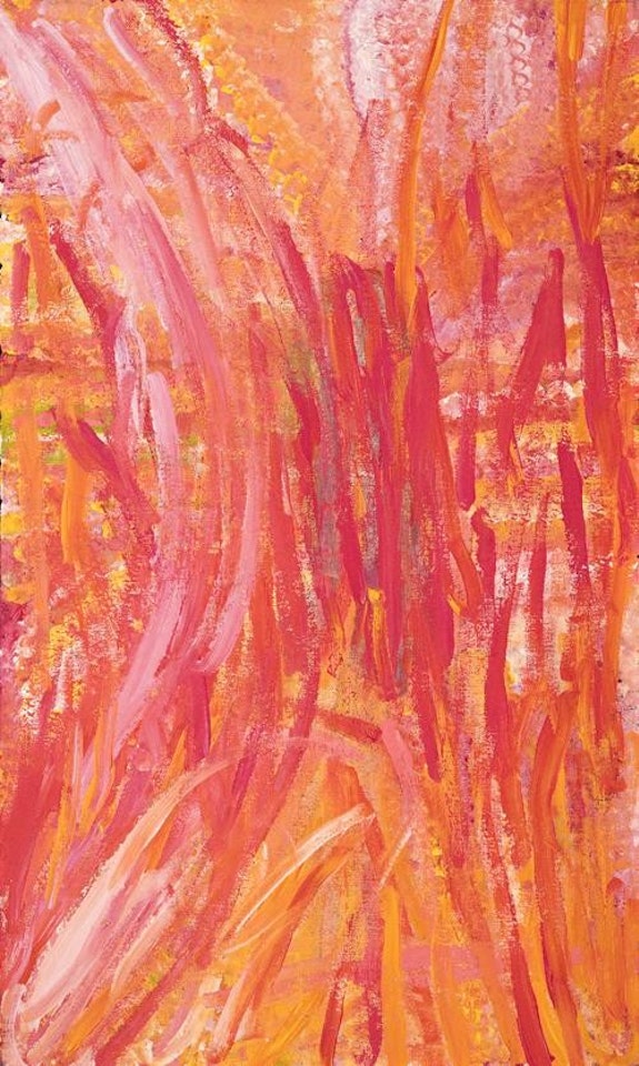A CEREMONIAL EXPRESSION by Emily Kame Kngwarreye