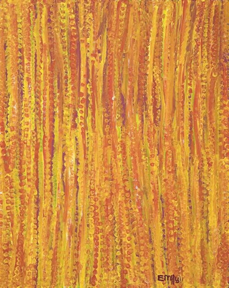 CEREMONY 1994 by Emily Kame Kngwarreye