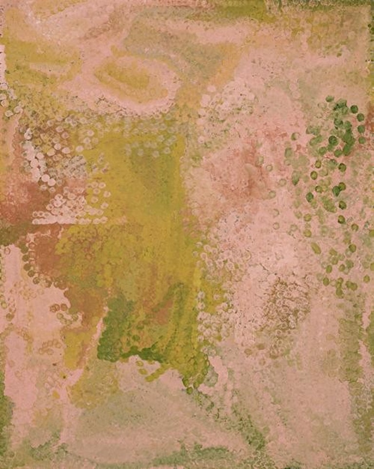 EMU COUNTRY by Emily Kame Kngwarreye