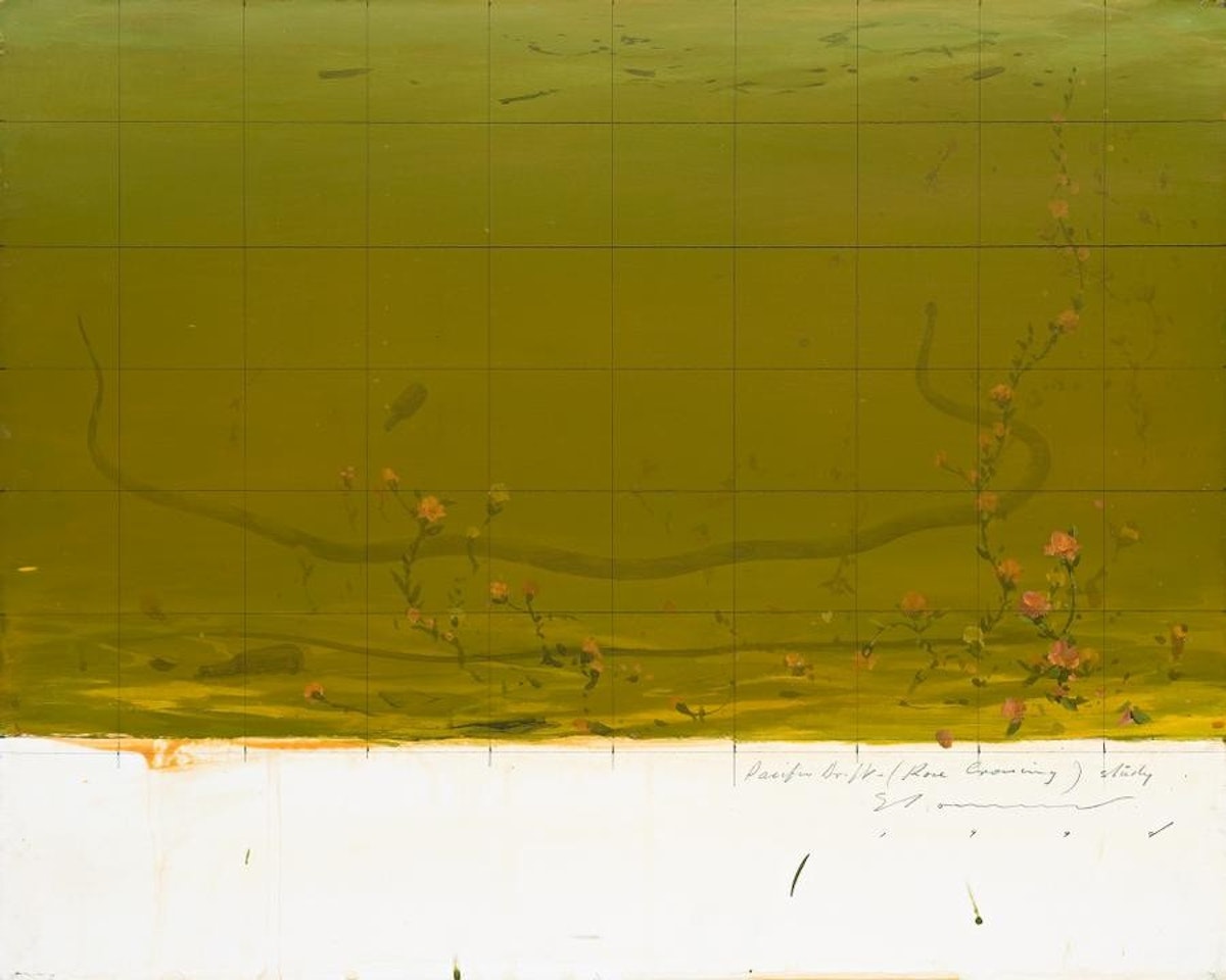 PACIFIC DRIFT (ROSE CROSSING) STUDY by Tim Storrier