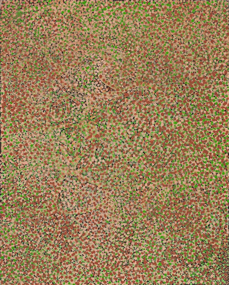 EMU ALL OVER by Emily Kame Kngwarreye