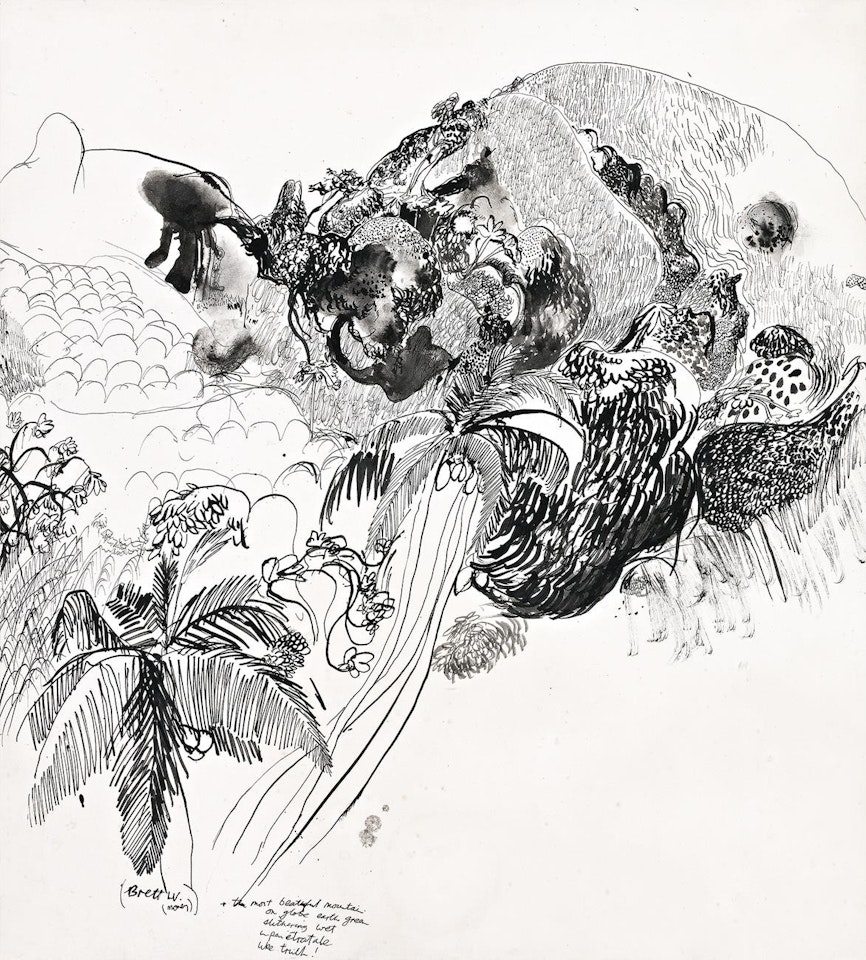 THE MOST BEAUTIFUL MOUNTAIN by Brett Whiteley