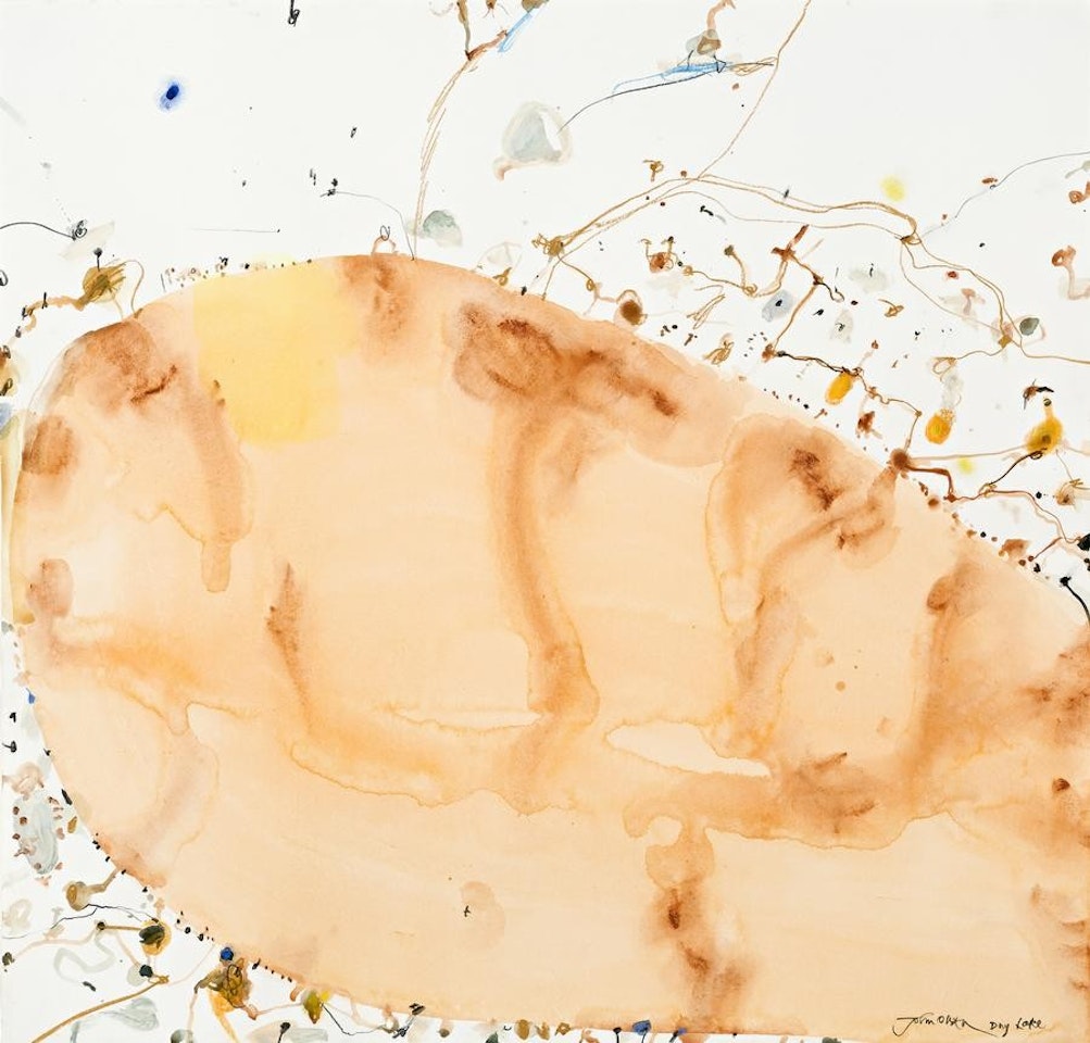 DRY LAKE by John Olsen