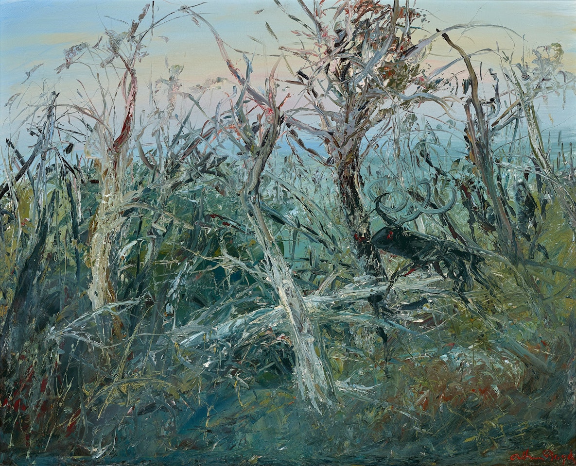 BLACK RAM IN UNDERGROWTH by Arthur Merric Bloomfield Boyd
