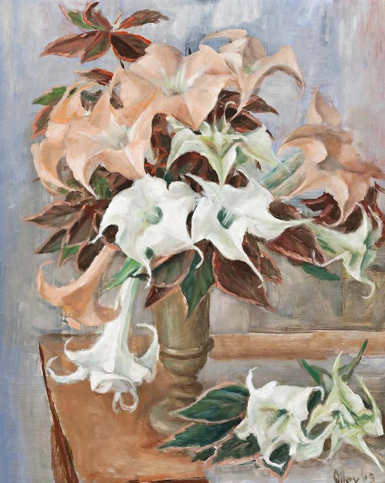 PINK DATURAS I by Margaret Hannah Olley