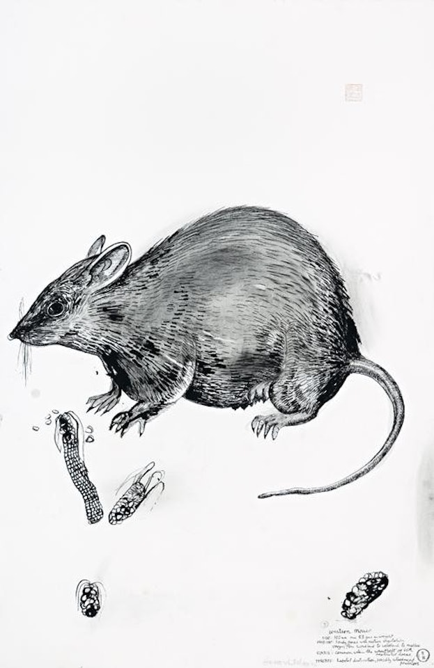WESTERN MOUSE by Brett Whiteley