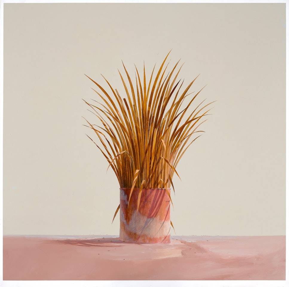 OUTBACK GARDEN by Tim Storrier