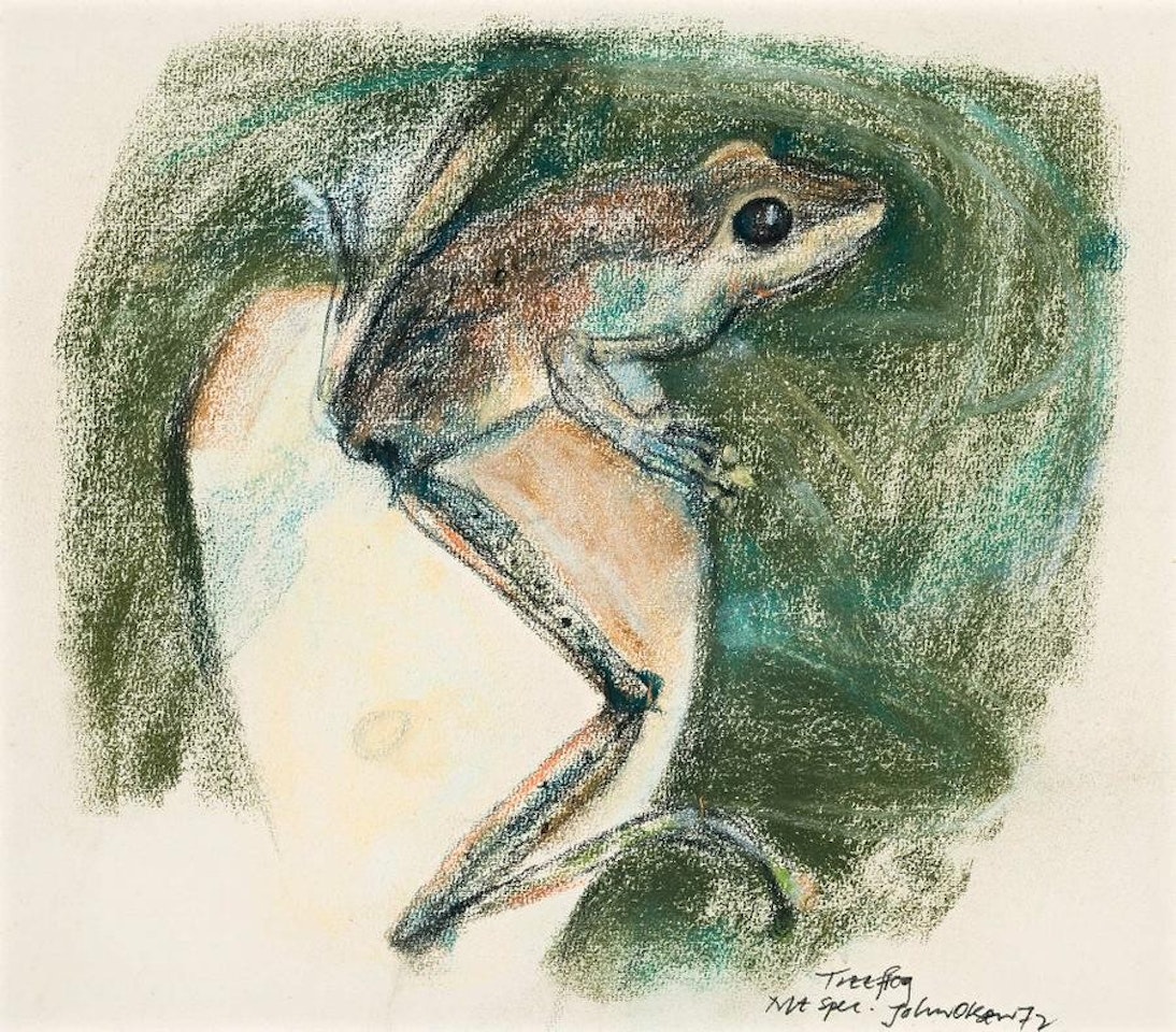 TREE FROG by John Olsen