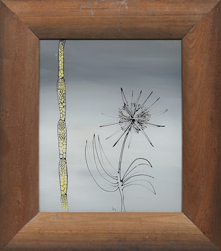 DESERT PLANTS by Sidney Nolan