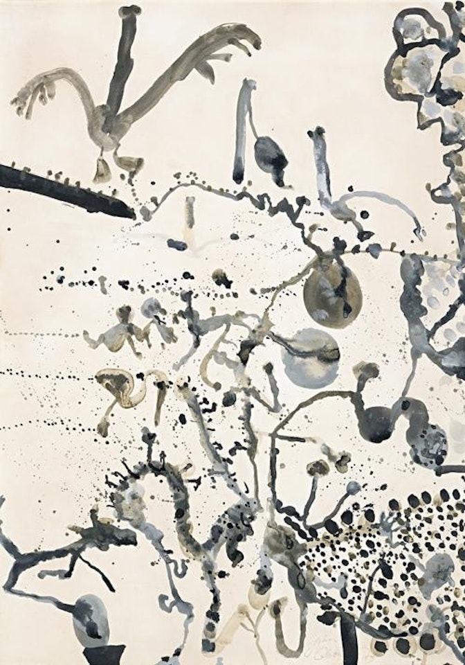 BIRDS OVER THE DESERT by John Olsen