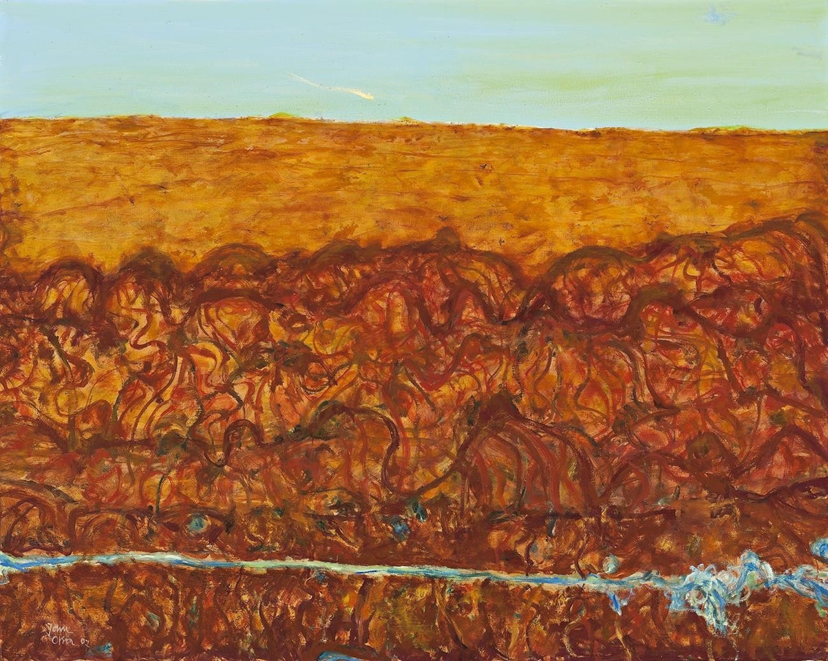 FLOODED RIVER PASSING THE SIMPSON DESERT by John Olsen