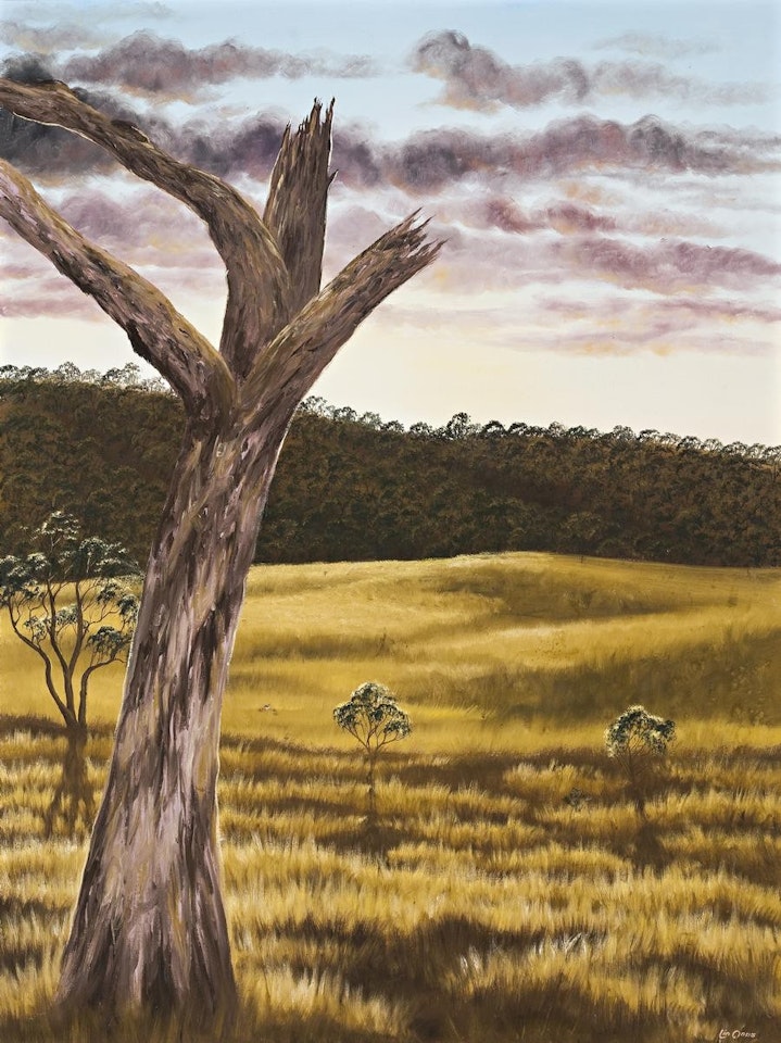 OLD TREE IN LANDSCAPE by Lin Onus
