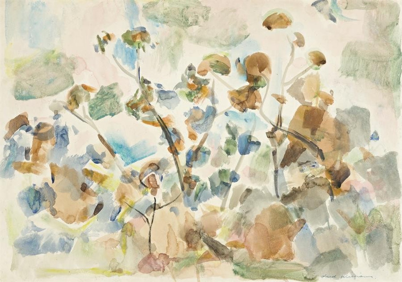 SAPLINGS by Frederick Ronald Williams