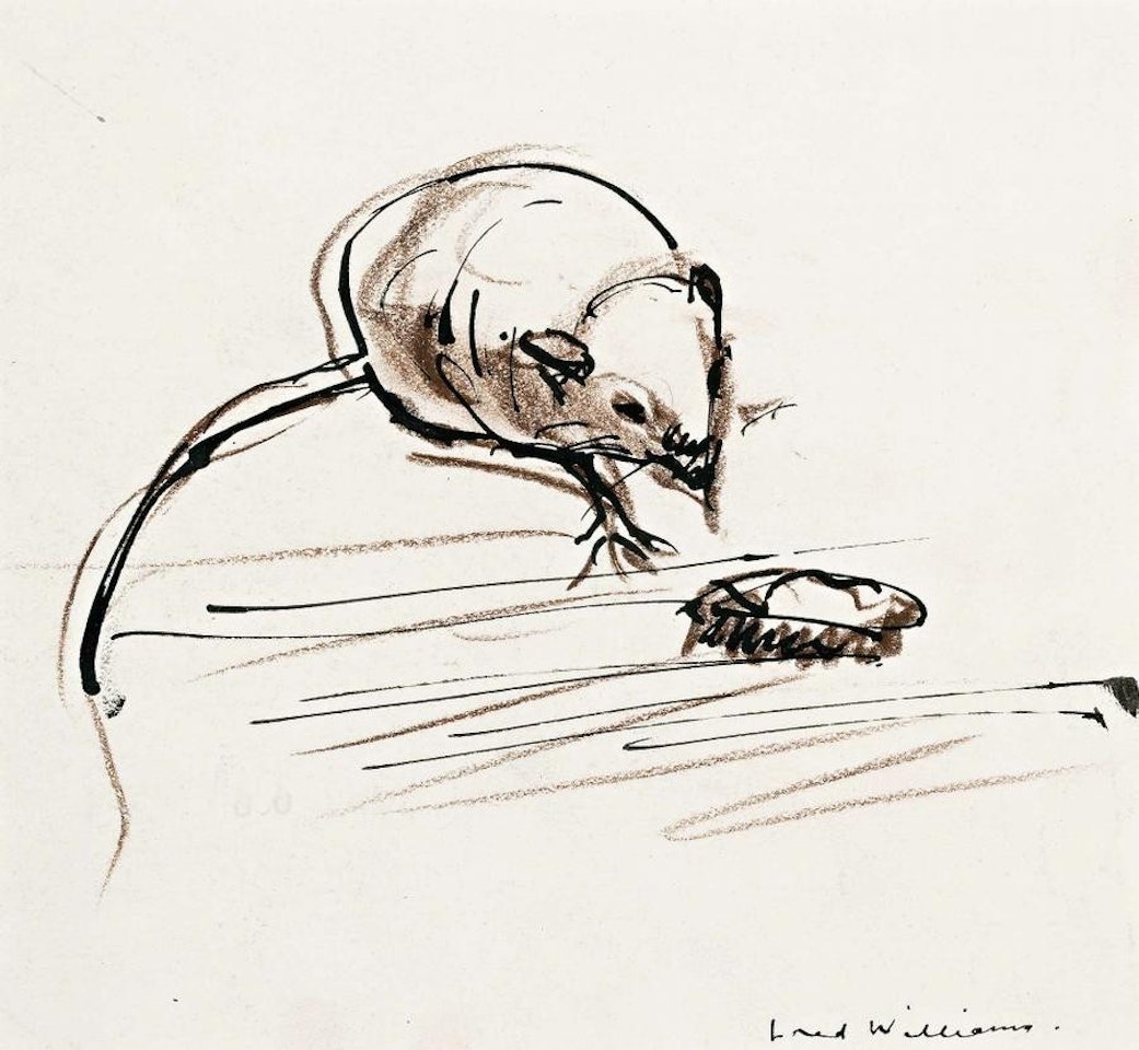 MOUSE AND ROACH by Frederick Ronald Williams