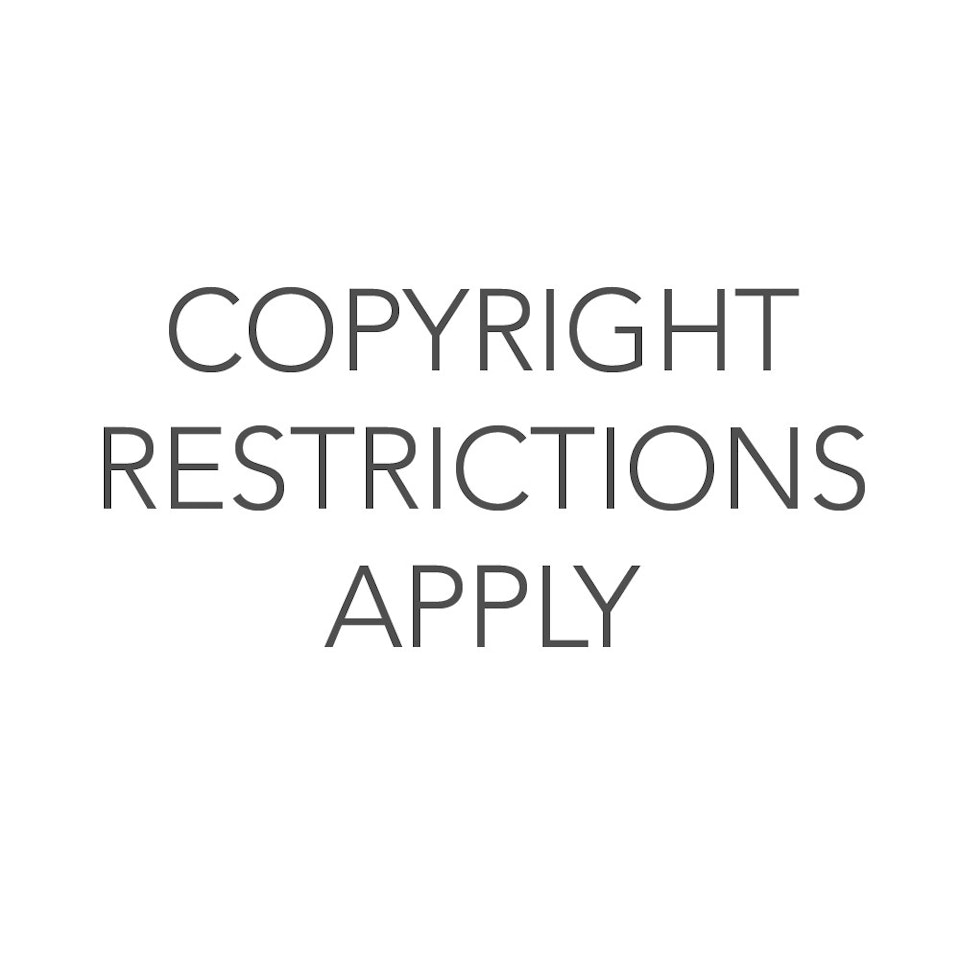 LEDA AND SWAN by Sidney Nolan