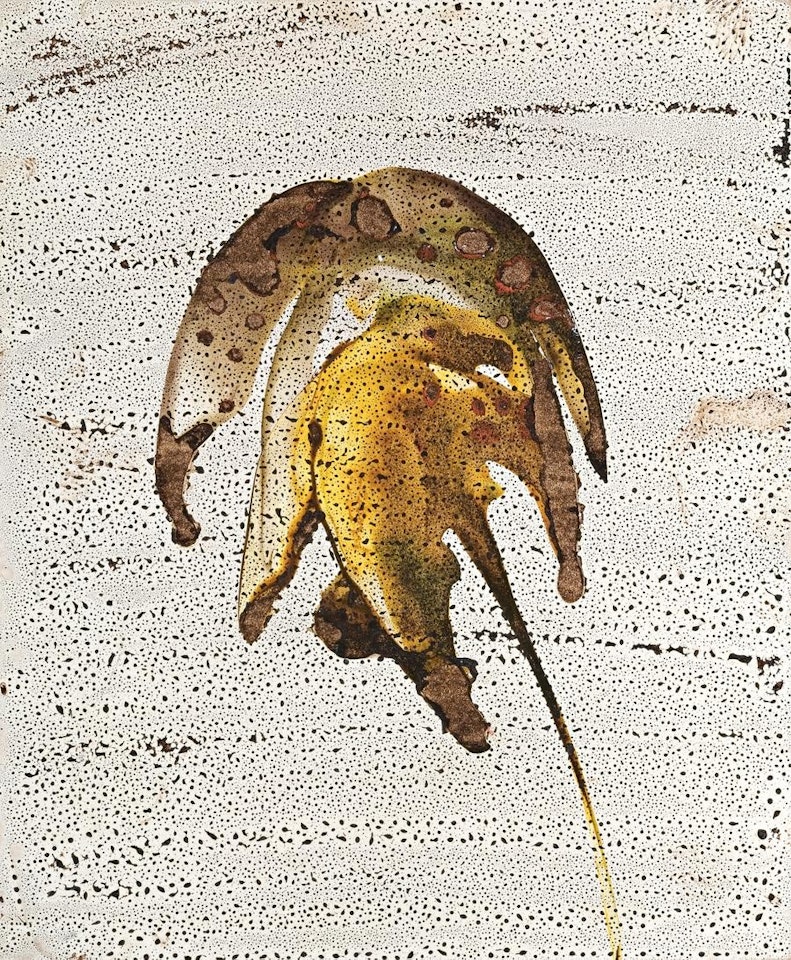 BUSH FLORA by Sidney Nolan