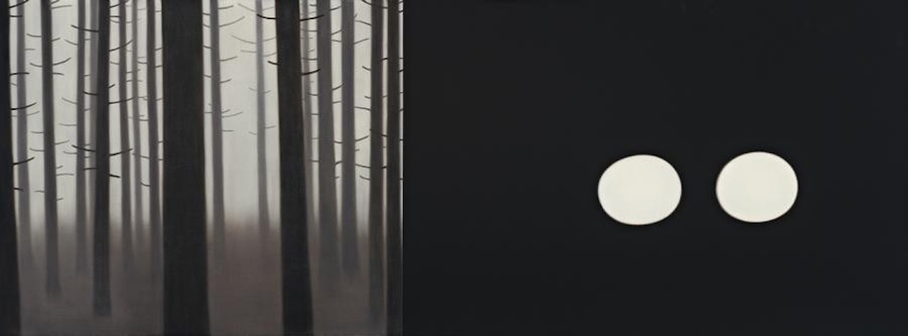 FOREST AND LIGHTS - SPLIT by Andrew Browne