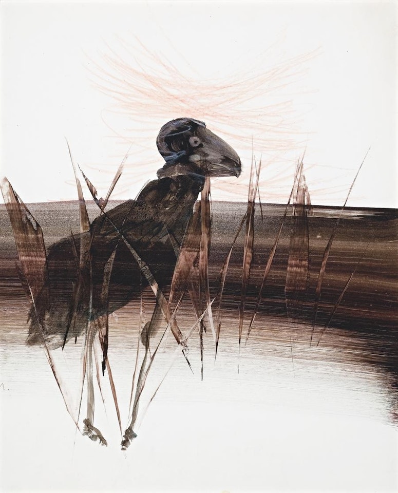 BIRD by Sidney Nolan