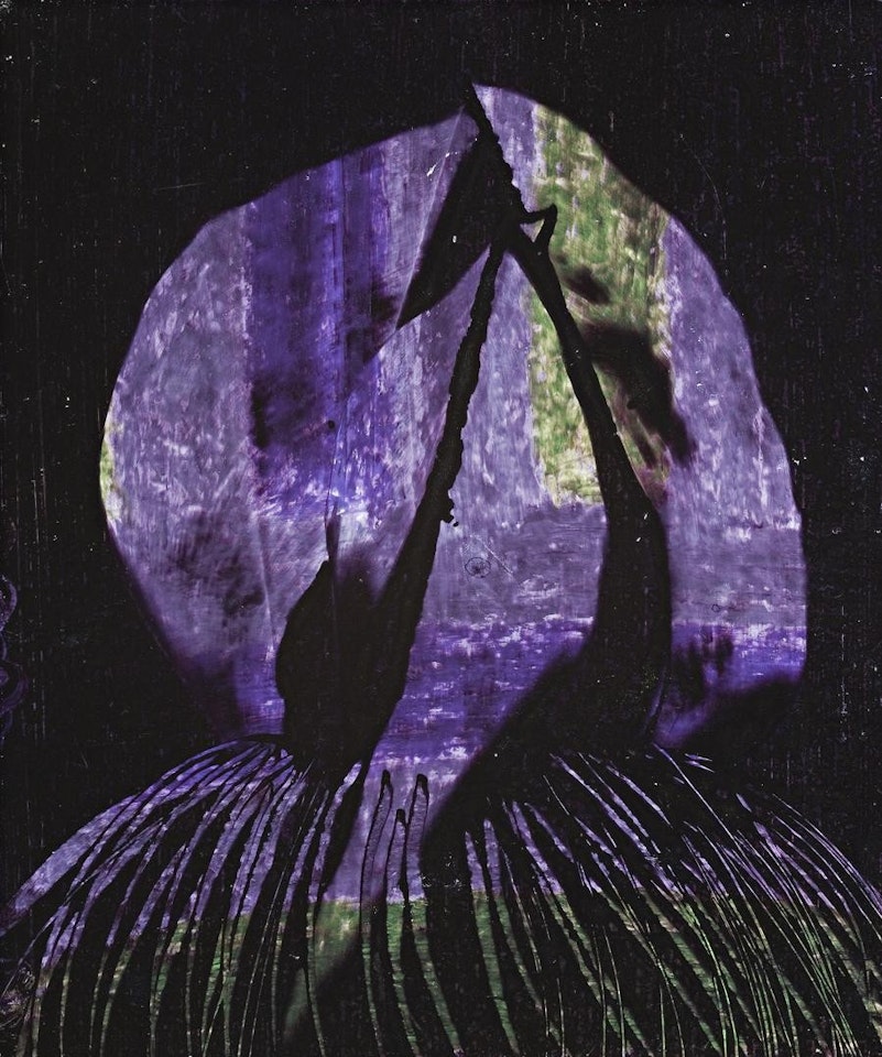PARADISE GARDEN by Sidney Nolan