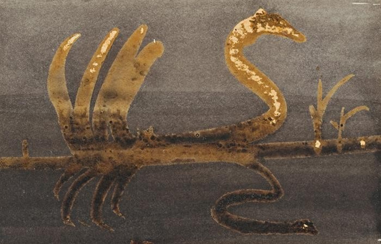 A SECRET SWAN by Sidney Nolan