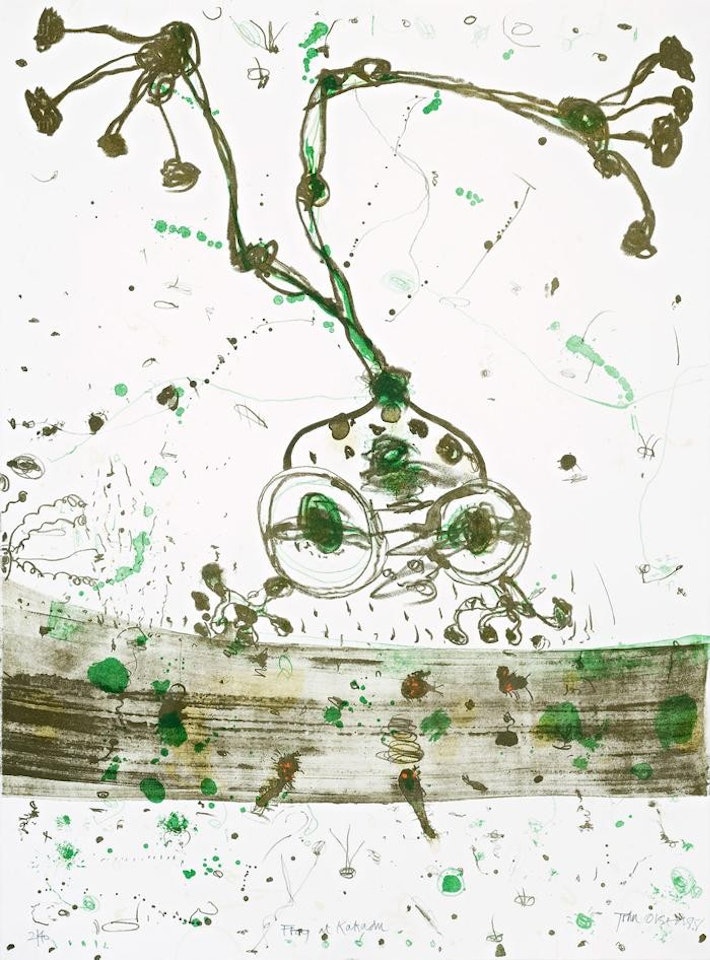 FROG AT KAKADU by John Olsen