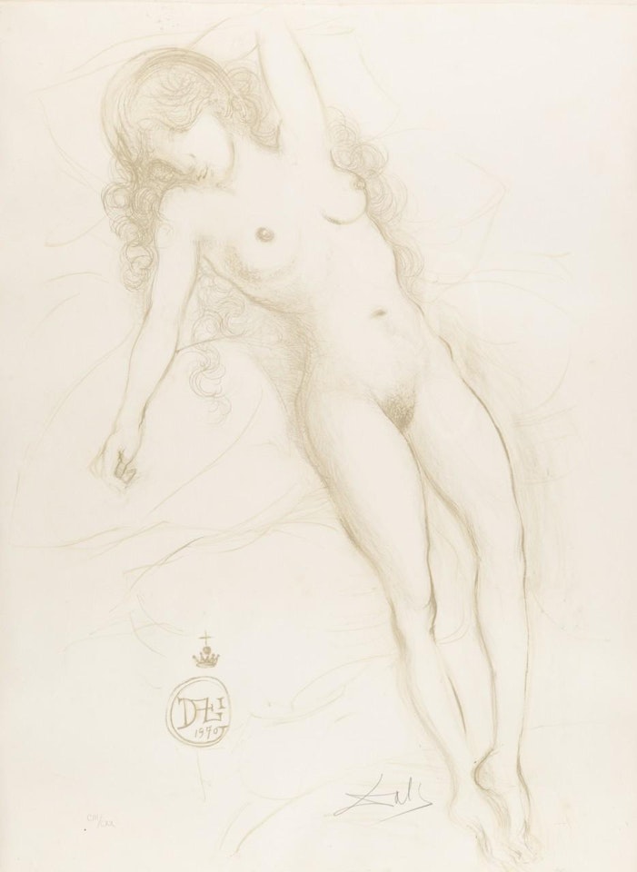 Nu de bras leve by Salvador Dali