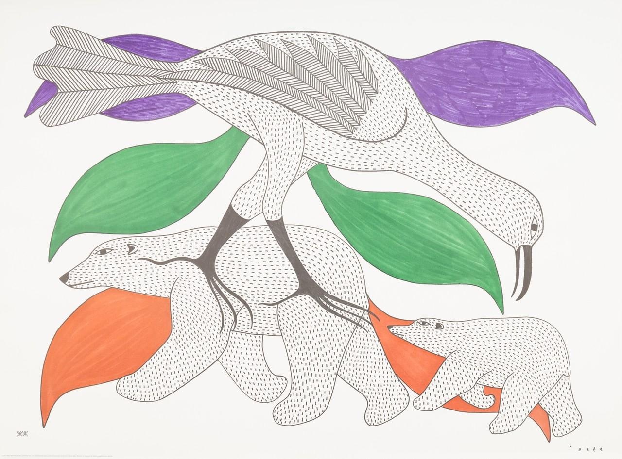 Colour Drawings by Fifteen Cape Dorset Artists by Various Artists