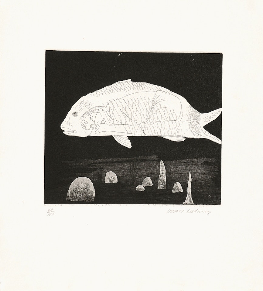 The Boy Hidden in a Fish, from "Six Fairy Tales from the Brothers Grimm" by David Hockney
