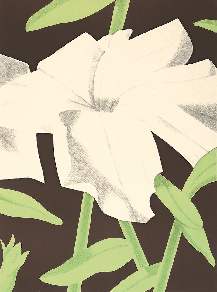 White Petunia by Alex Katz