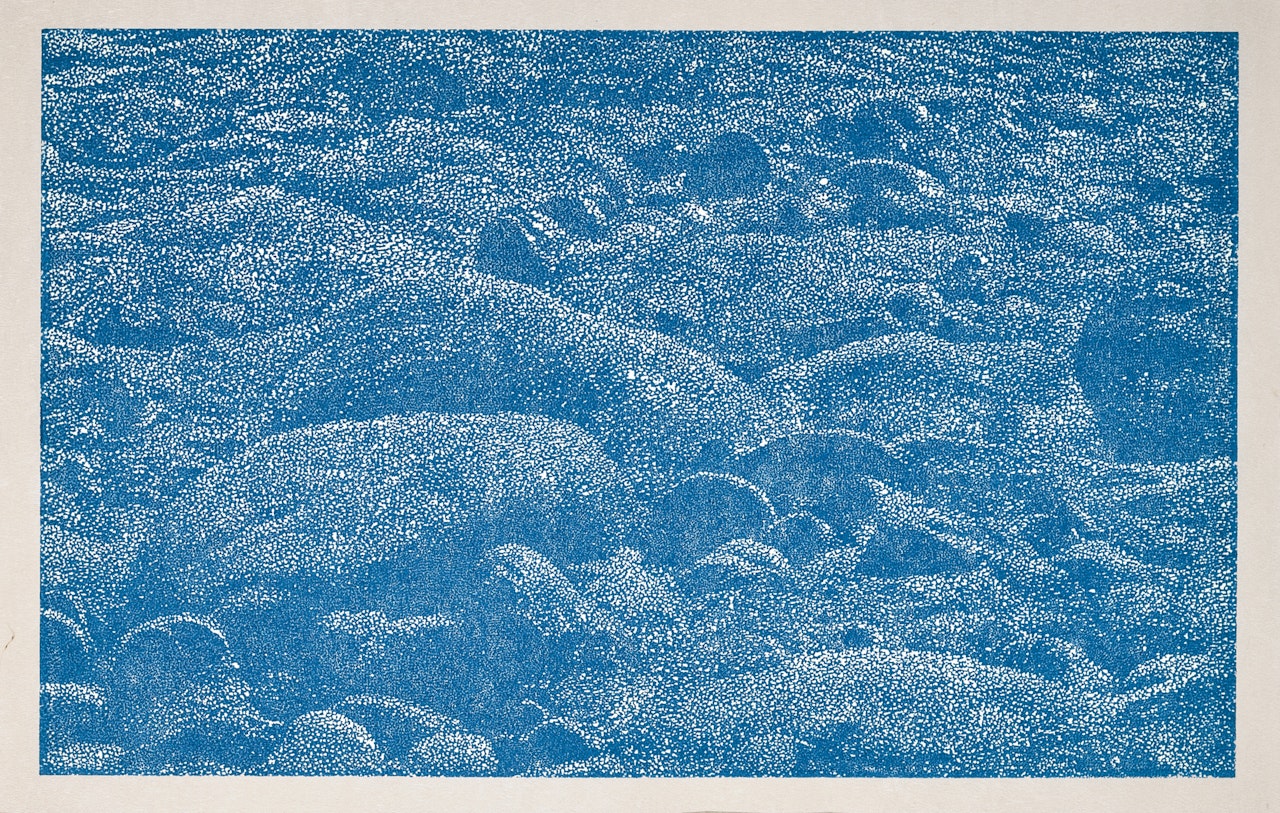 Cima del mar (détail 2) by Franz Gertsch